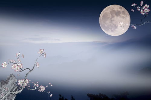 家乡的中秋节作文