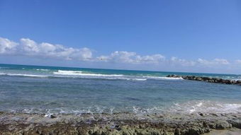 23万吨大船落户上海?