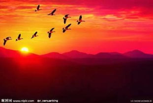 冀望皇异晶人，冀望皇 巴里安