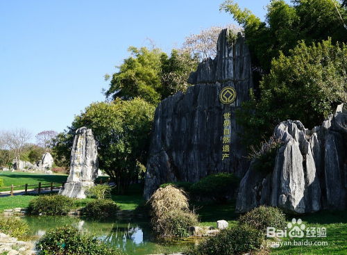 云南石林景点有哪些