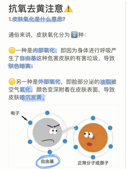 氧化[yǎng huà]什么意思?近义词和反义词是什么?英文翻译是什么?
