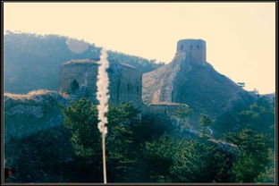 挺立的意思是什么