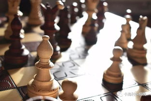 向我挑战下棋英文，我爸爸的爱好是下棋英文