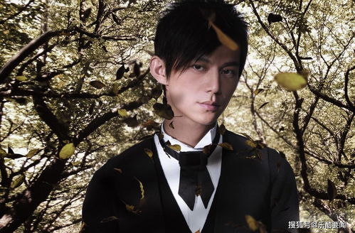 何灵灵简介，何灵依为什么灭沈家