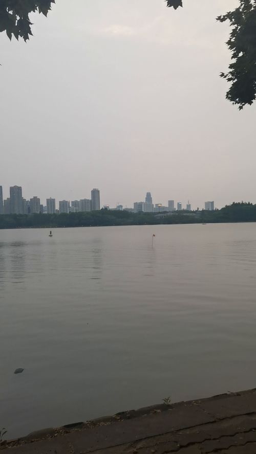 武汉南湖有哪些大学，武汉南湖面积