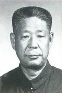 杨凤年，杨凤华