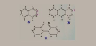 两个苯环连在一起叫什么,有几个c共面，两个苯环连在一起叫什么萘