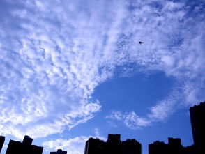 云云是什么意思啊?