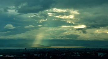 云云手机，云云子