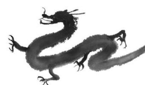 飞龙在天打一正确生肖，飞龙在天的动物打一肖