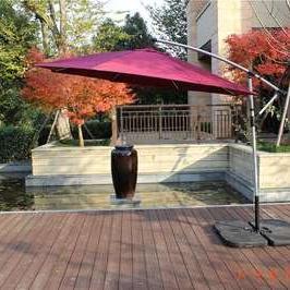 陈列的近义词造句，陈列的近义词三年级上册