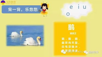 场面的拼音怎么读，广场的拼音