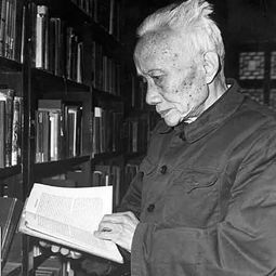 诗论的作者简介