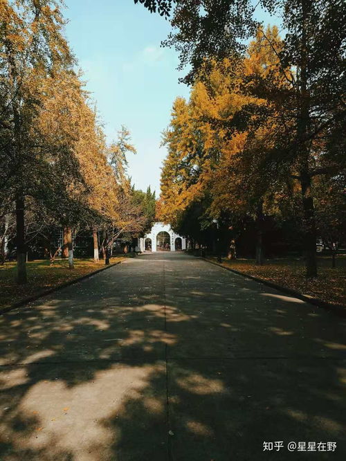 苏州大学是985还是211