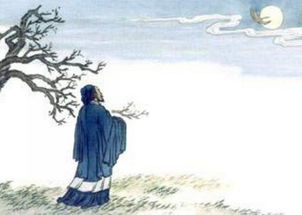 杜甫诗词《月夜忆舍弟》原文译文赏析