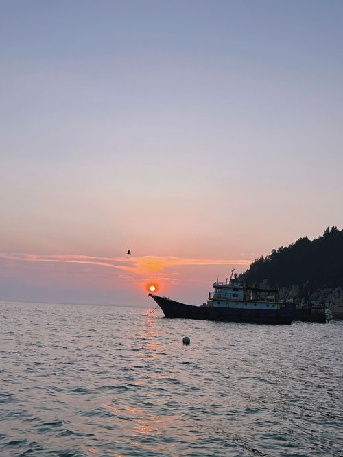 后港村属于哪个省哪个市