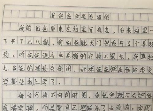 我的父亲作文500字，我的父亲作文400字左右