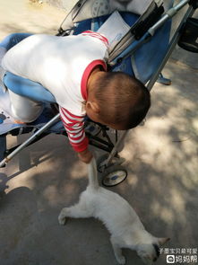 嘟囔的读音是什么，嘟囔的读音是什么意思是什么