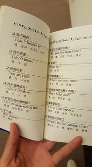 矮用英语怎么说