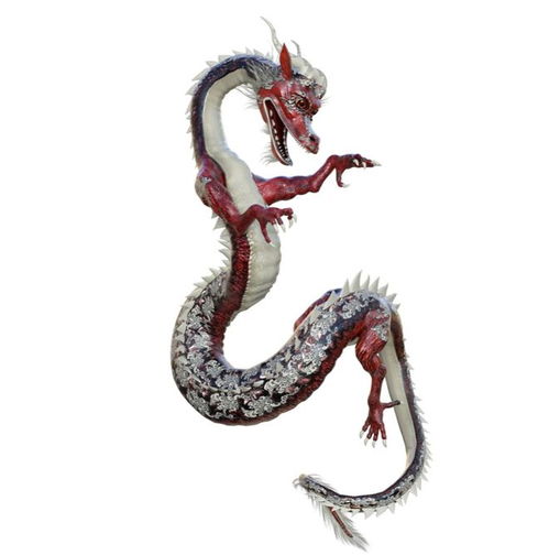 飞龙在天是什么生肖