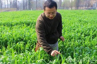 三田电动车价格及图片