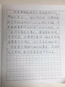 我的爸爸的作文_写人作文5篇