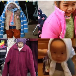 我是猪八戒 歌词