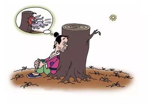 守株待兔打一数字