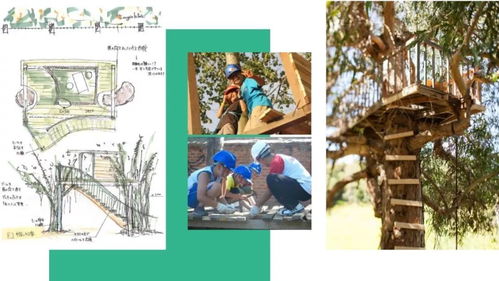 攀在树梢上的童年