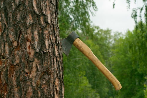 立木为信的成语故事50字?