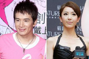 张洛君的电视剧