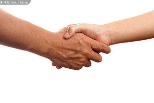 两个手握手表示什么呢?