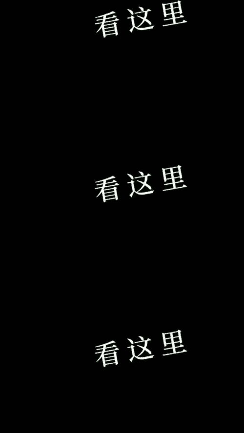 有心人,天不负,卧薪尝胆,三千越甲可吞吴，有心人简谱