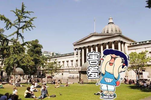 国王大学学院开设的主要专业介绍