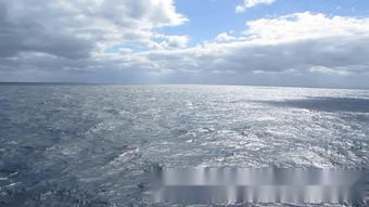 海洋绿洲号，海洋绿洲号票价是多少