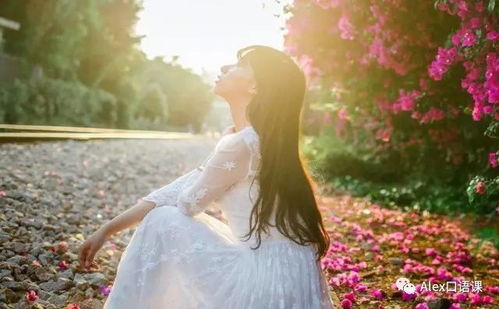 华丽的反义词是什么?