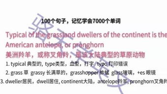 typical翻译，typical缝纫机