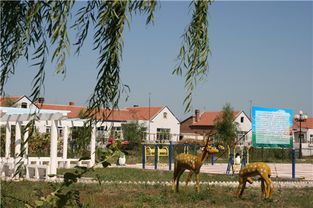 林甸县四大涝区是哪里