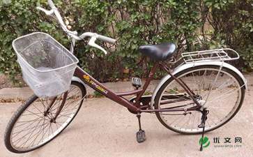 第一次尝试骑自行车作文500字，忘不了骑自行车作文500字