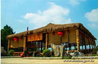 凤凰阁凤兰是什么电视剧，凤凰阁电话号码