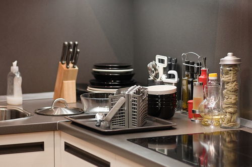 厨房和刺猬的拼音