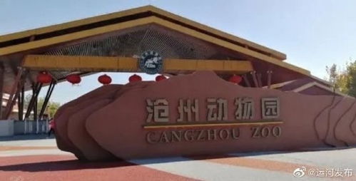 沧州动物园在哪个位置