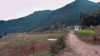 明村镇，明村拾味河东店