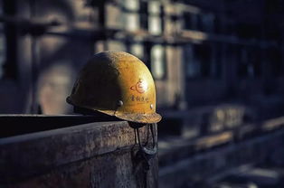 定格在记忆中的画面作文指导，定格在记忆中的画面作文450字