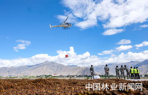 自然资源保护核心区可以进行飞播造林吗