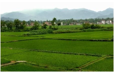 50亩地是多少平方米租金，50亩地是多少平方米公式