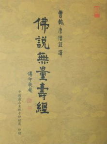 无量寿经第四十八愿经文