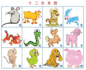 2016年属什么生肖五行什么命，2017年属什么生肖