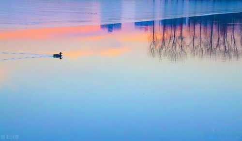 风霜的意思是什么