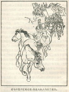 老马识途什么意思指啥生肖，老马识途什么意思30字